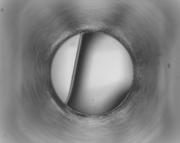 X0000089440020200706151022