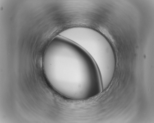 X0000089440021200706151022