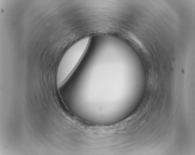 X0000089440025200706151022