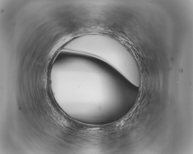 X0000089440054200706151021