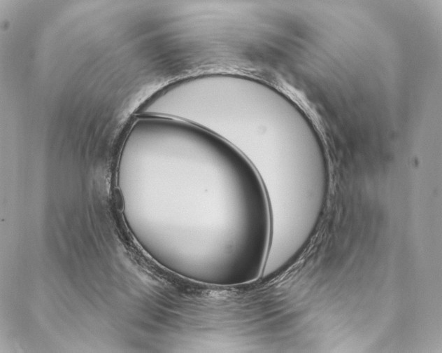 X0000089440060200706151021