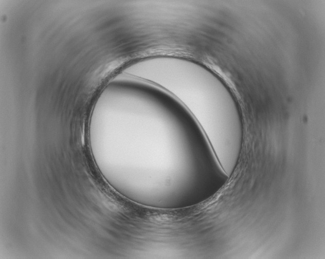 X0000089440062200706151021