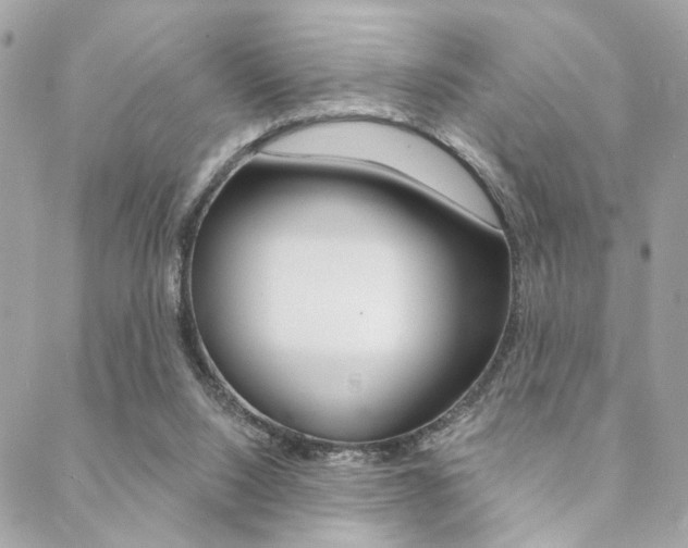 X0000089440064200706151021