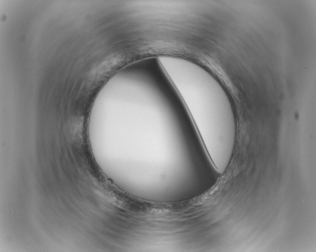 X0000089440066200706151022