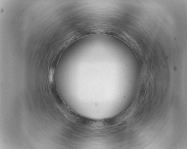 X0000089440075200706151022