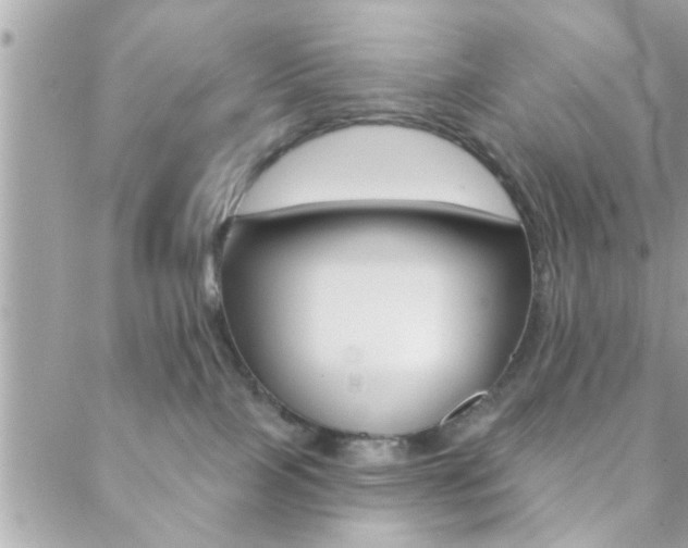 X0000089440089200706151022