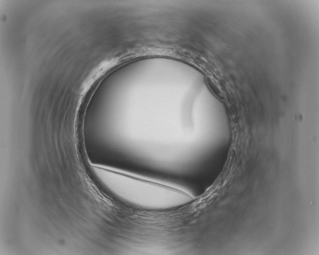 X0000089440104200706151021