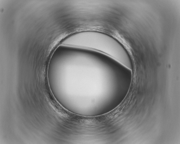 X0000089440107200706151021