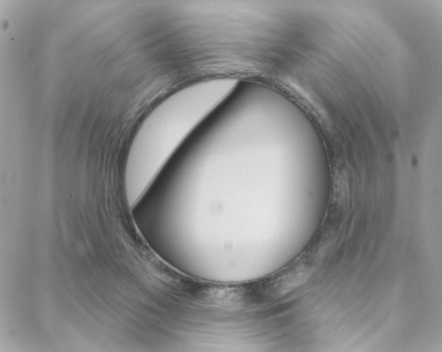 X0000089440117200706151021