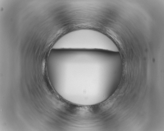 X0000089440118200706151021
