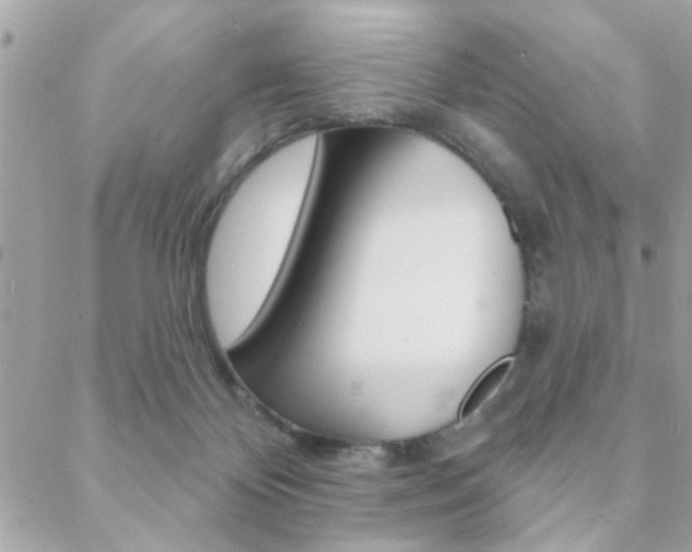 X0000089440124200706151021