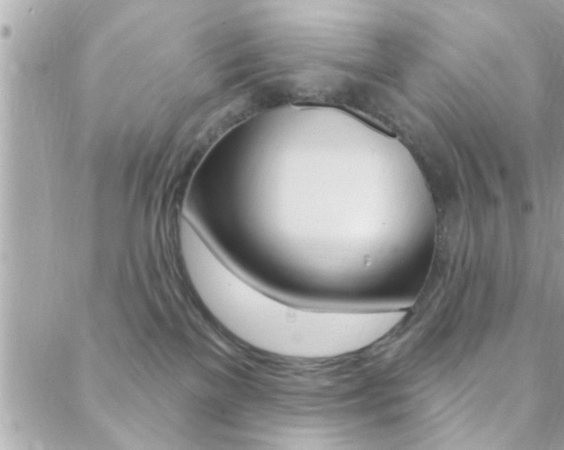 X0000089440137200706151021