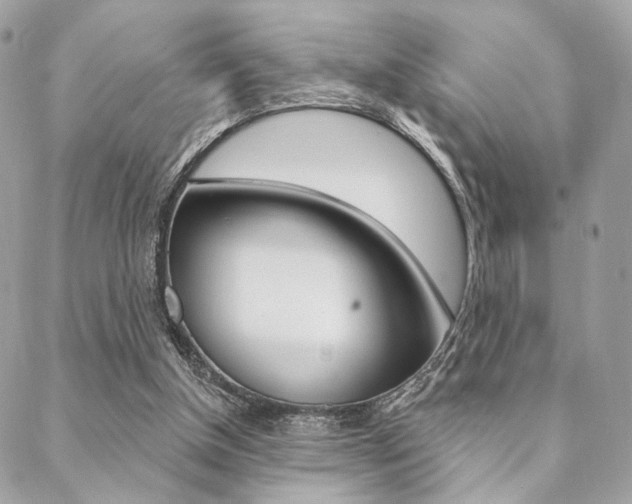 X0000089440154200706151020