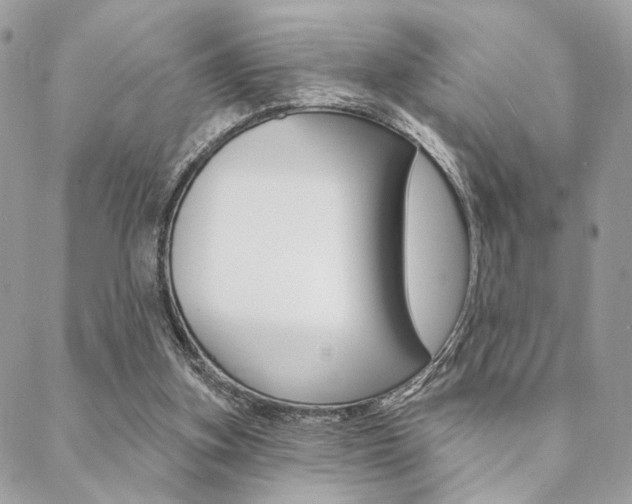 X0000089440155200706151020