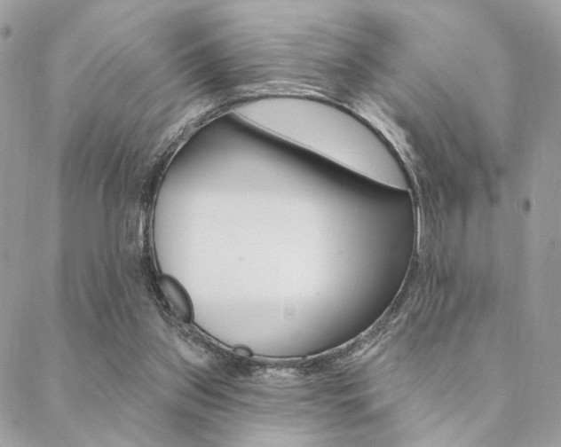 X0000089440157200706151020