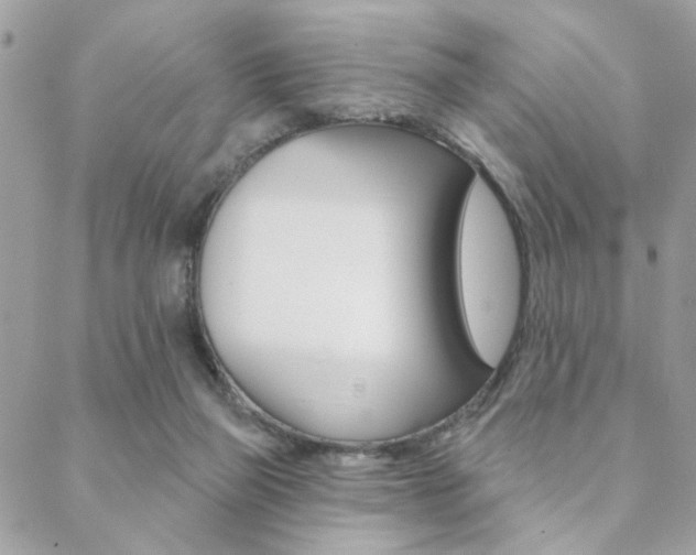 X0000089440165200706151020
