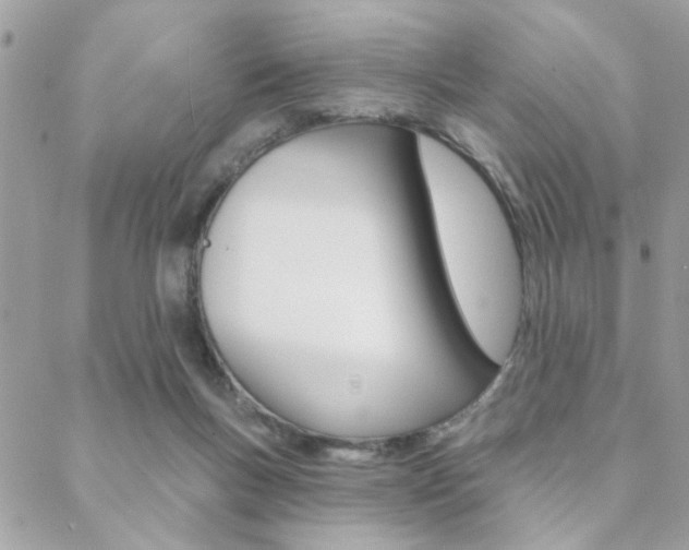 X0000089440167200706151020