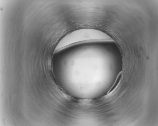X0000089440192200706151020