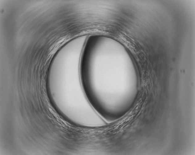 X0000089440193200706151020