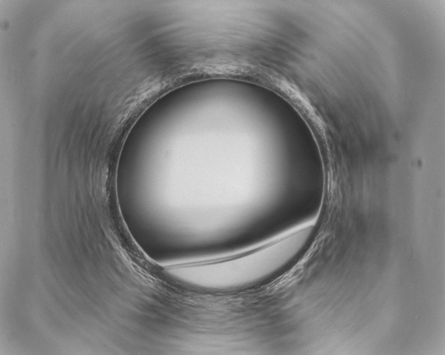 X0000089440201200706151020