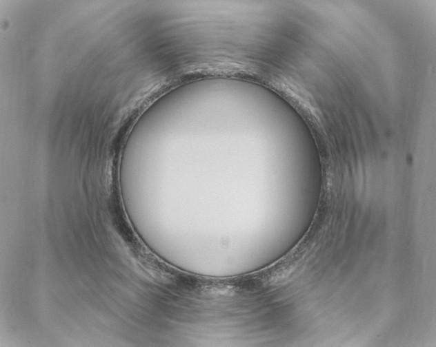 X0000089440206200706151019