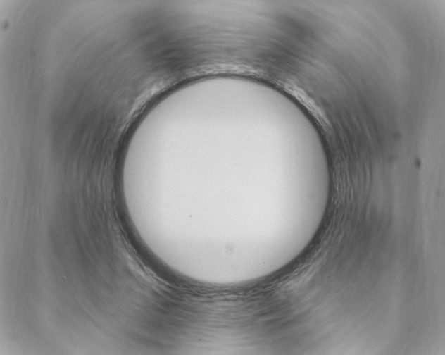 X0000089440207200706151019