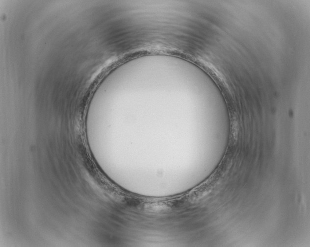 X0000089440208200706151019