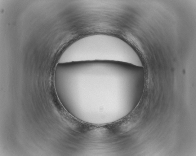X0000089440210200706151019