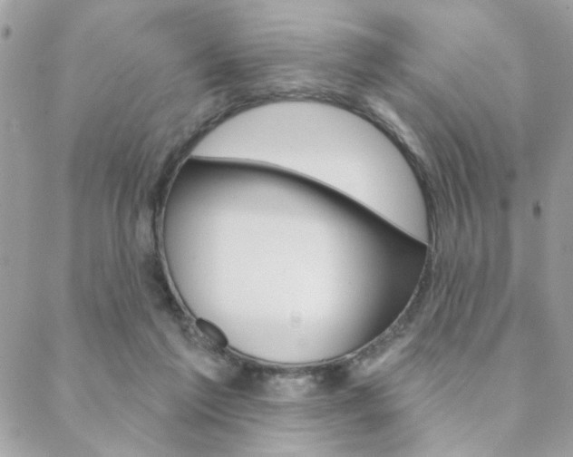X0000089440213200706151019