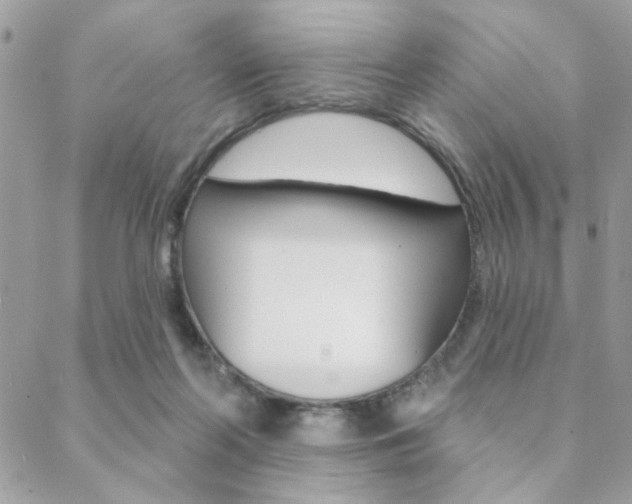 X0000089440214200706151019