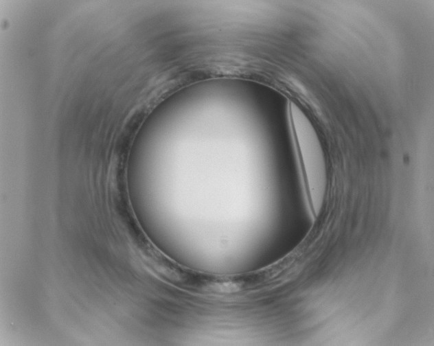 X0000089440217200706151019