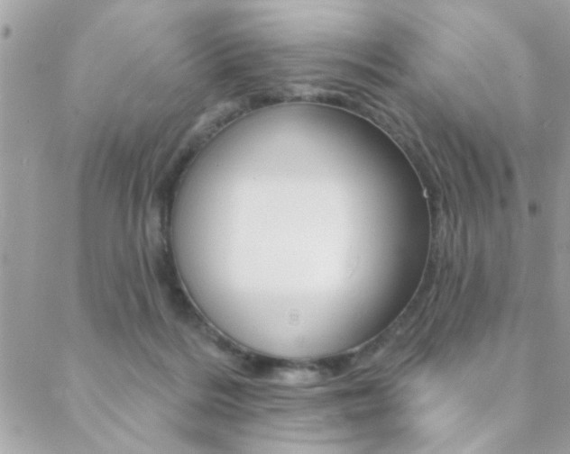 X0000089440220200706151019