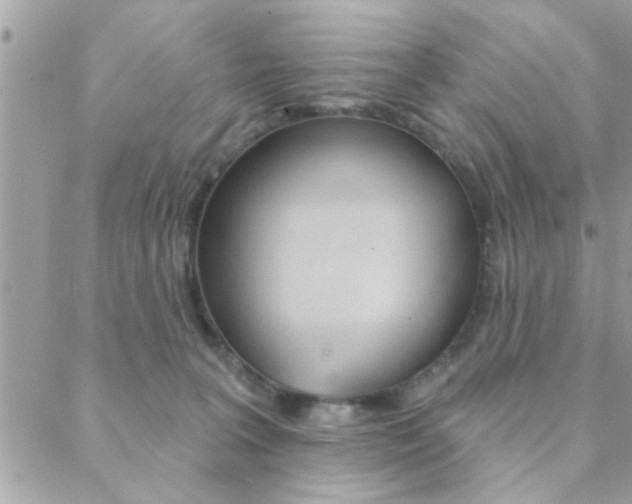 X0000089440227200706151019