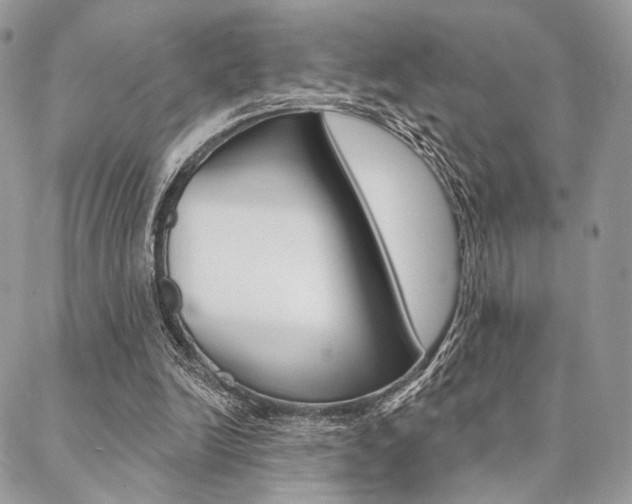 X0000089440246200706151018