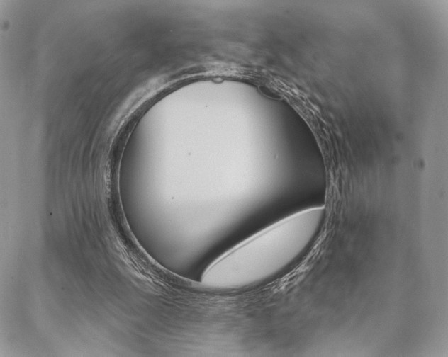 X0000089440247200706151018
