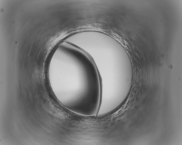 X0000089440248200706151018