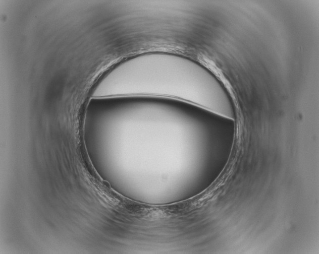 X0000089440249200706151018