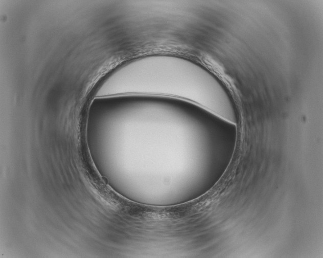 X0000089440250200706151018