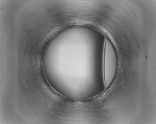 X0000089440257200706151018