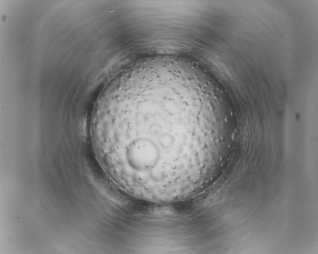 X0000089440262200706151018