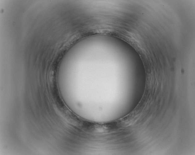 X0000089440263200706151018