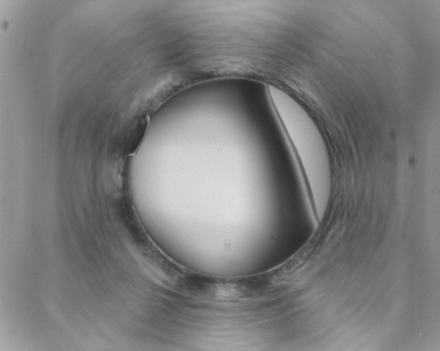 X0000089440264200706151018