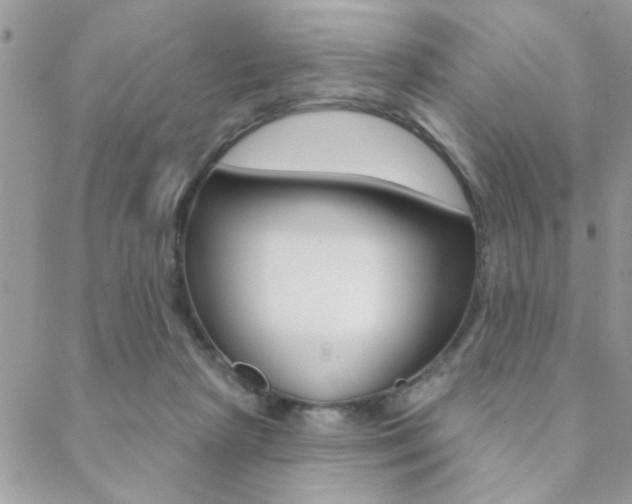 X0000089440265200706151019