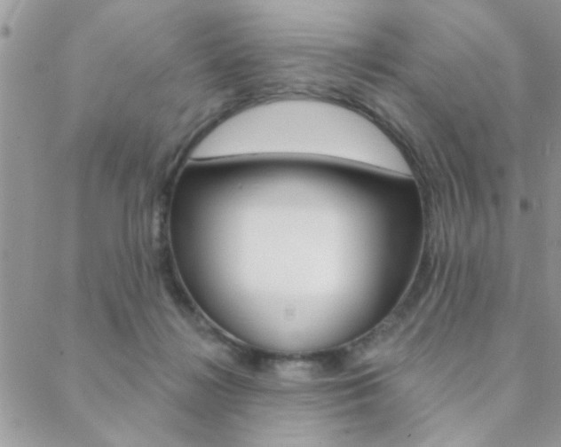X0000089440268200706151019