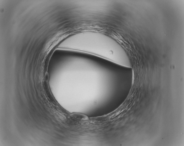 X0000089440291200706151018