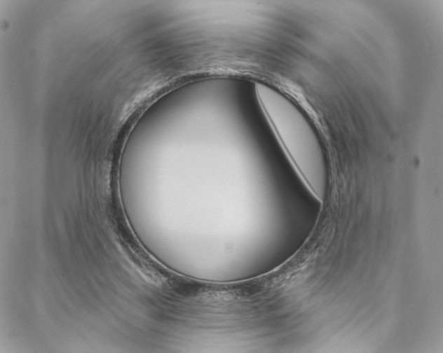 X0000089440299200706151018