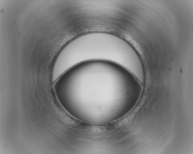 X0000089440305200706151018