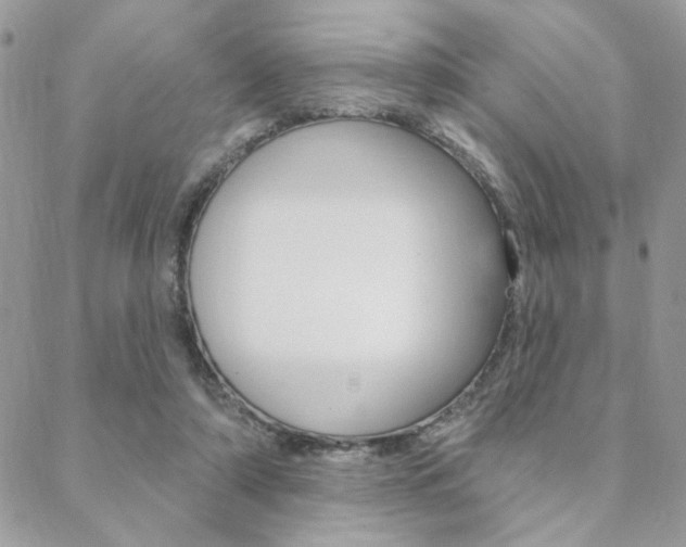 X0000089440306200706151018