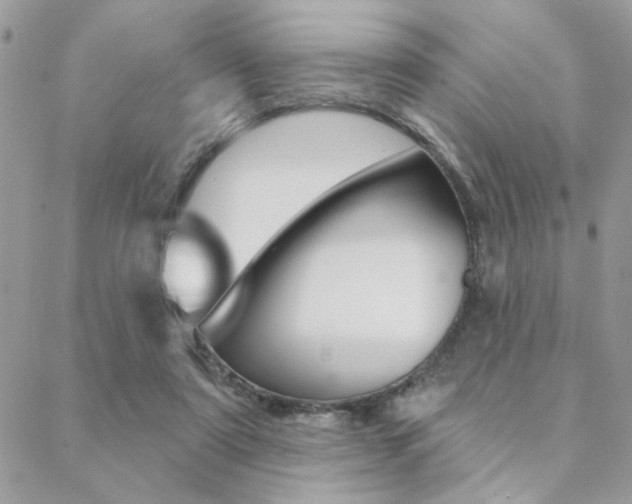 X0000089440307200706151018