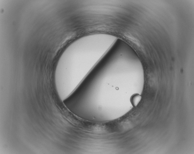 X0000089440308200706151018